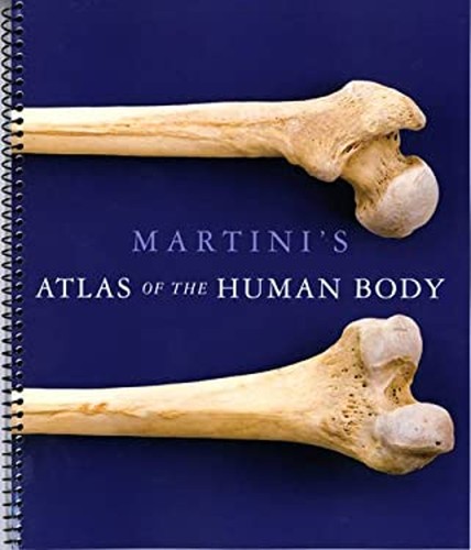 Atlas corps humain spiral - humain,