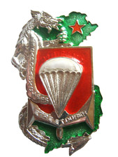 PARACHUTISTE TROUPES DE MARINE LES CAPORAUX CHEFS DU 3° RPIMa  (TRANSLUCIDE)