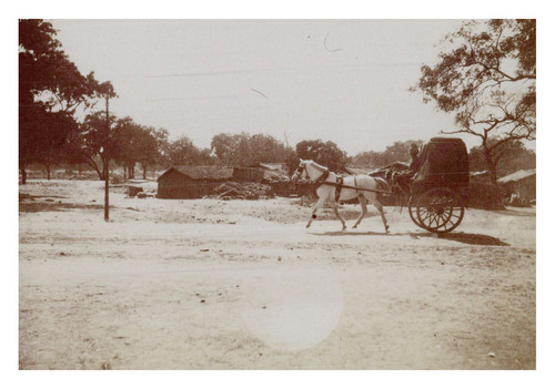 Inde env delhi - inde,, à