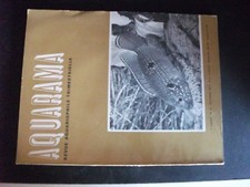 **ao Revue Aquarama n°24 Chromileptes altivelis / Astronotus ocellatus 