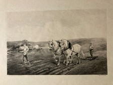 Lot De 6 Gravures Chevaux De