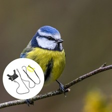 Laisse de harnais d'oiseau perroquet réglable kit gilet d'entraînement