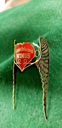 Insigne cadre wings - insigne, de
