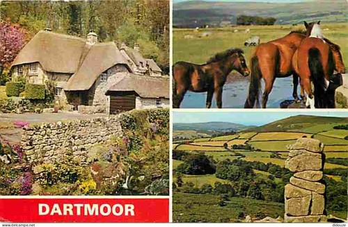 Carte postale animaux - postale,