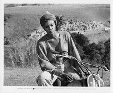 TAMARA DOBSON cleopatra jones