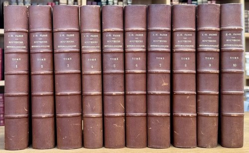 Fabre souvenirs - (jean-henri).,