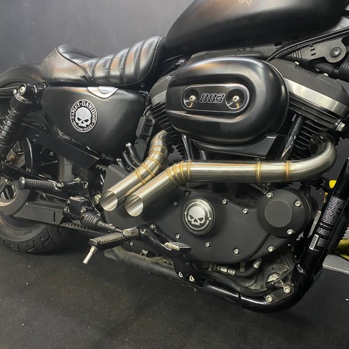 1999 2024 adapté - 1999-2024, harley