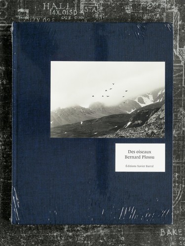 Des oiseaux bernard - -,