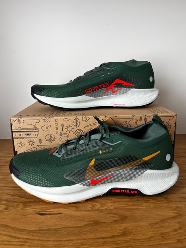 Nike pegasus trail gtx homme - pegasus,