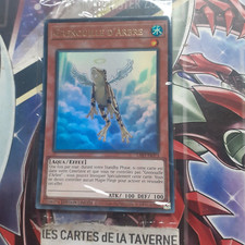 Carte YU GI-OH! Grenouille