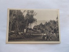 29  TREBOUL  FINISTERE PROMENADE AU BOIS ANIMEES FEMMES ENFANTS POUSSETTE