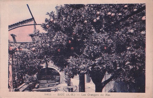 Carte postale ancienne