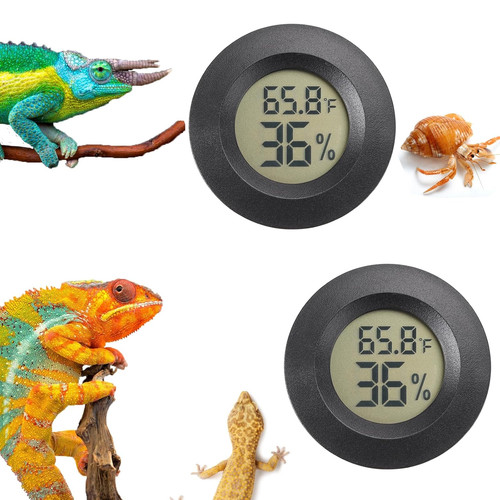 Reptile thermometer and - reptile,