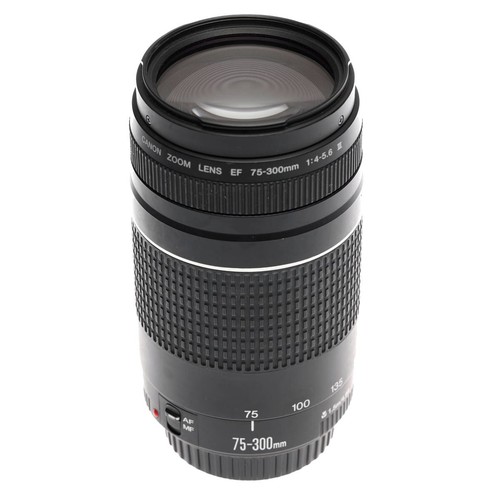 Objectif canon 300 - ef, 75-300