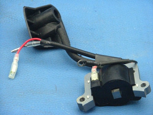 Bobine allumage pour - d'allumage, einhell