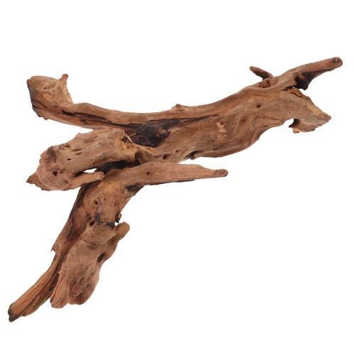 Accessoires aquarium - accessoires, d'aquarium