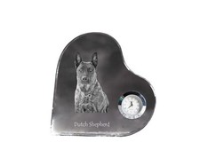 Chien de Berger Hollandais -