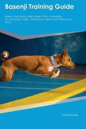 Frank bower basenji - frank, training