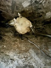 Vase expansion occasion