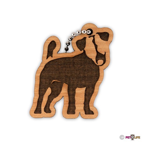 Jack russell terrier - russell,