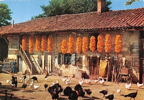 01-FERME