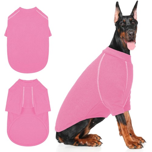 Pull dogue allemand - allemand,,