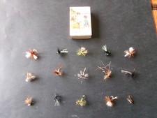 15 véritables mouches de