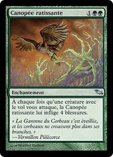 Magic MTG - Raking Canopy - Sombrelande - MINT/NMINT - EN