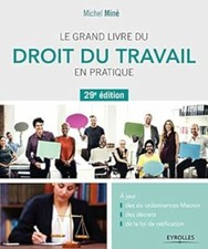 Le grand livre du droit du travail en pratique: A jour : des six ordonnances