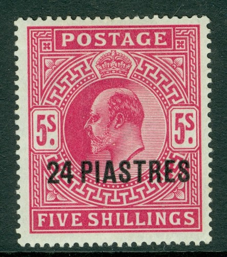 Britannique levant 5 - 12,