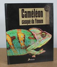 Caméléon casqué du Yémen