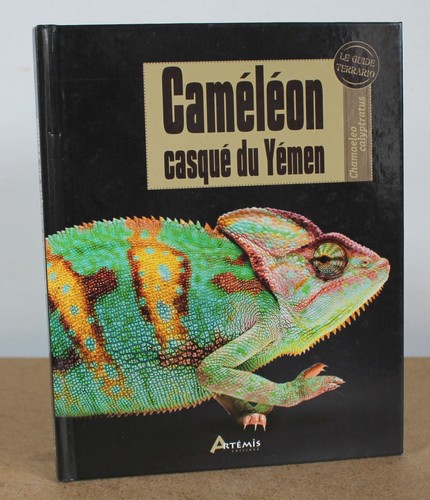 Caméléon casqué yémen - caméléon, du