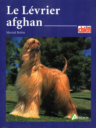 Lévrier afghan martial - le,