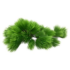 Aqua Della Eleocharis Vert 22cm Décoration Aquarium Terrarium Usine De L'Art