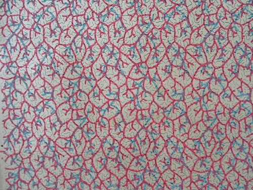 Papier peint ancien - papier, décor