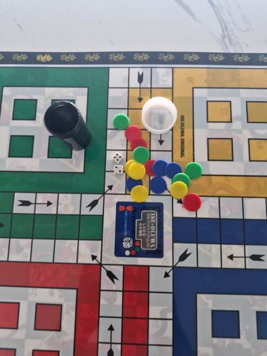 Jeu ludo africain de - africain,