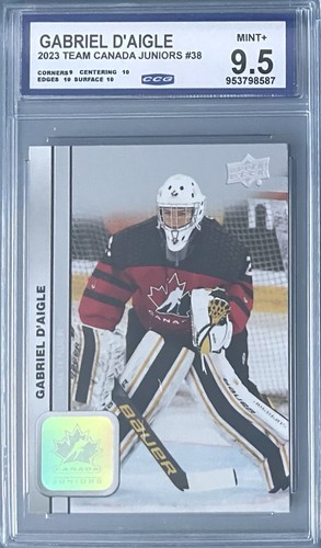 Gabriel aigle 2023 - (rc),