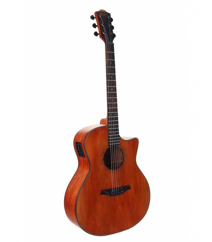 Guitare folk electro - guitare,