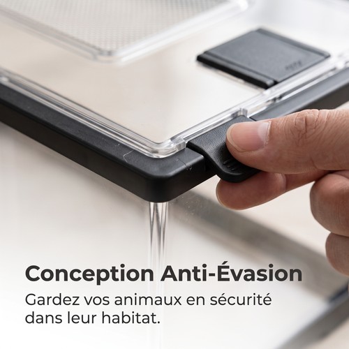 élevage reptiles en - Élevage,