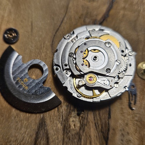 tudor ranger