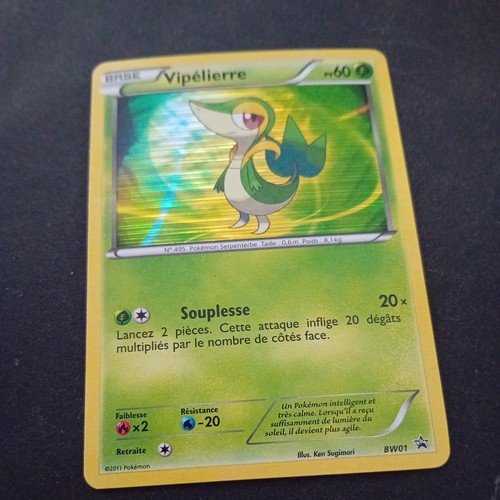 Carte pokemon vipélierre holo - carte,
