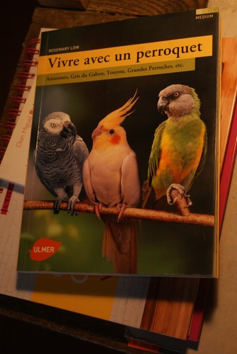 Vivre avec perroquet - vivre, un