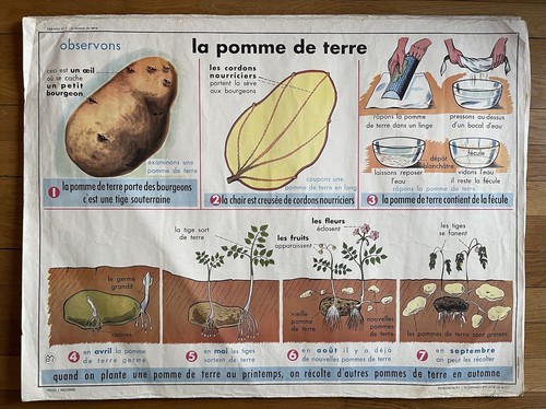 Ancienne affiche scolaire 1960