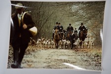 PHOTO Argentique	France	chasse à courre vénerie cheval chien 18X24cm	1970
