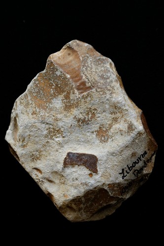 Acheulean hand axe - hand,