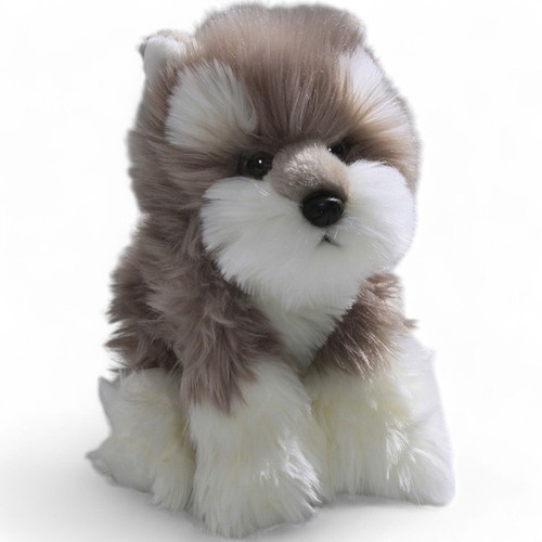 Carl dick schnauzer - carl,