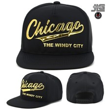 Chicago New Leader The Windy