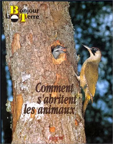 Comment abritent les - comment, s'abritent