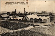 Cpa cueillette des petits - petits, pois