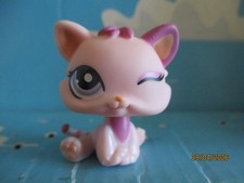 PETSHOP CHATON / CHAT N°1481
